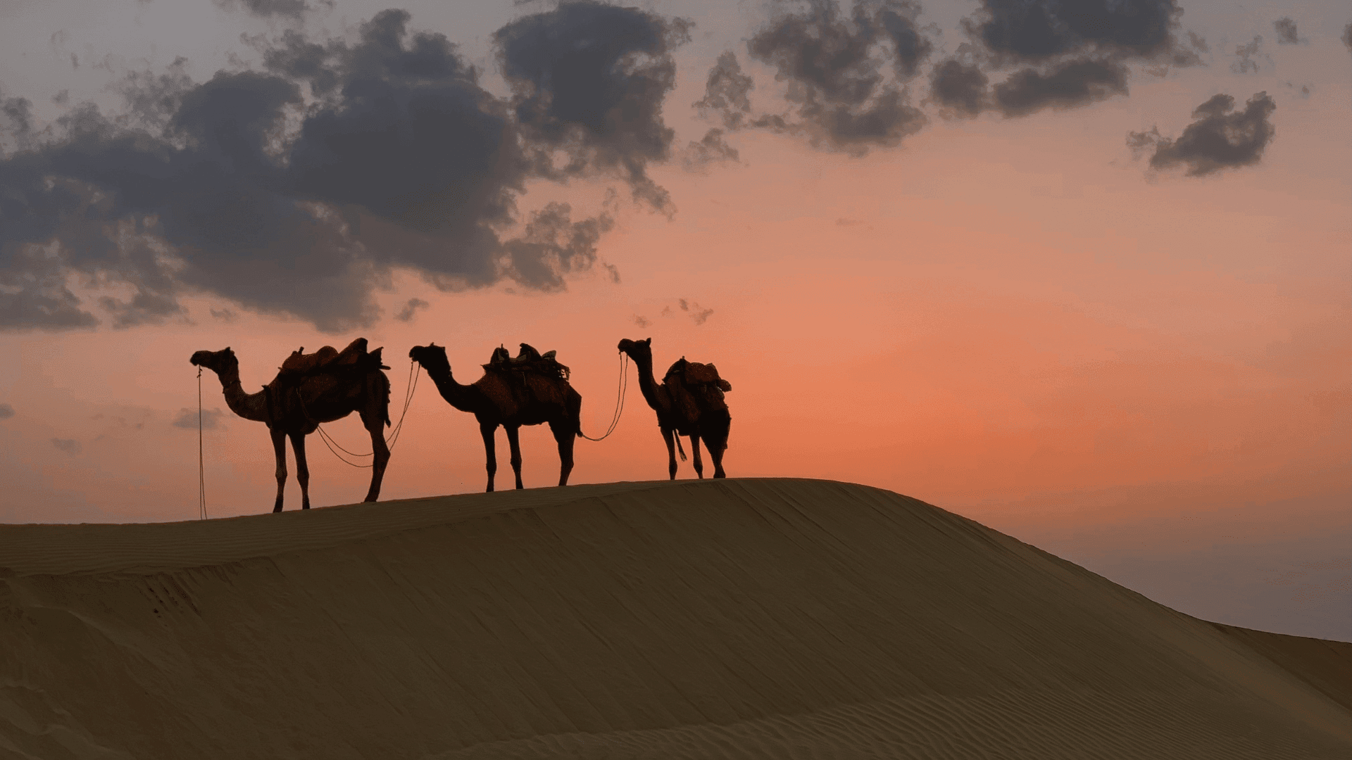 Rajasthan Heritage Tour