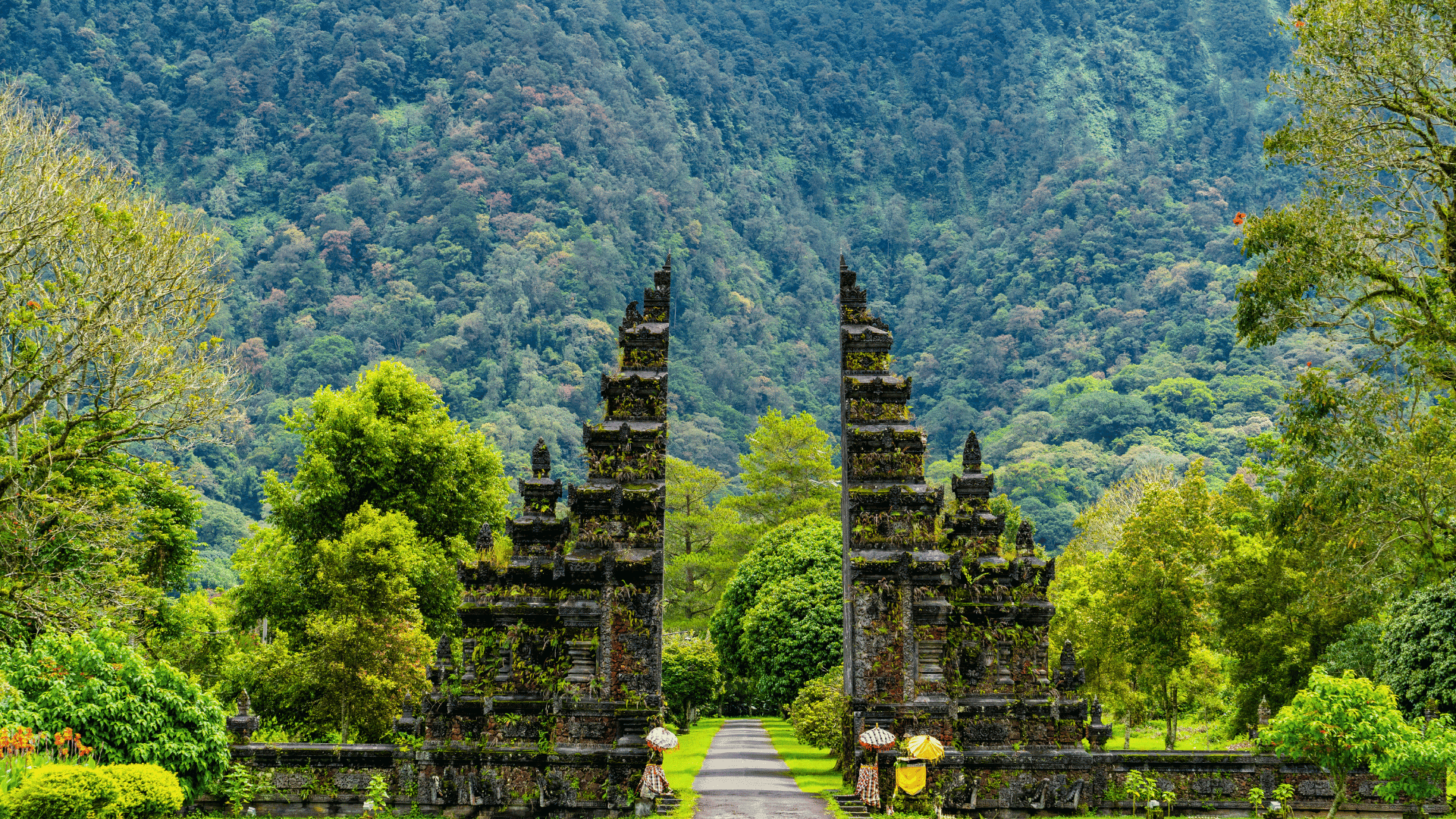 Bali Paradise Tour